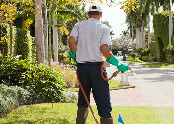 About Cave Creek AZ Pest Control Pros